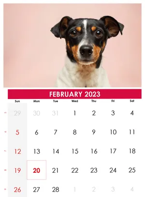 February Calendar 1245 X 1685 Wallpaper