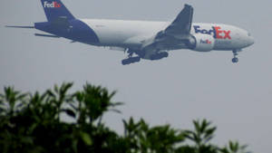 Fedex Express Air Transportation Wallpaper