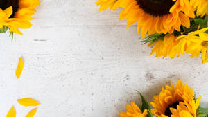 Feel The Brightness Of Life With This Sunflower Desktop Wallpaper. Wallpaper