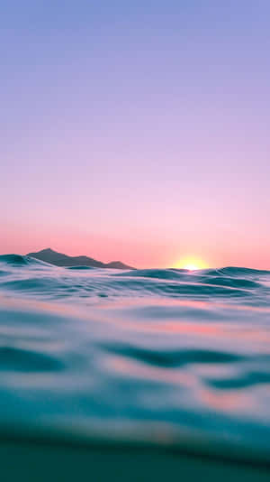 Feel The Sunshine With Tropical Iphone Wallpaper