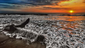 Feel The Warmth Of The Sun's Rays On A Beautiful Day. Wallpaper