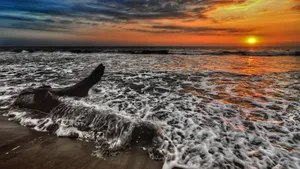 Feel The Warmth Of The Sun's Rays On A Beautiful Day. Wallpaper