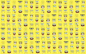 Feeling Cool With Spongebob Wallpaper