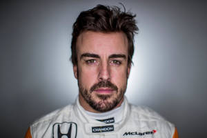 Fernando Alonso Portrait Close Up Wallpaper