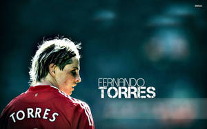 Fernando Torres The Star Player Wallpaper