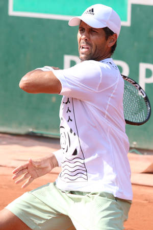 Fernando Verdasco Drawn Back Wallpaper