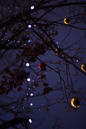 Festive Christmas Lights Trailing On Bare Branches Wallpaper