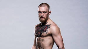 Fierce Look Conor Mcgregor Wallpaper