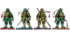 Fierce Ninja Turtle Warrior Wallpaper