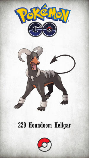 Fiery Stare Of Houndoom, The Bold Pokémon Wallpaper