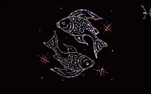 Find Your Aquatic Magic Wallpaper