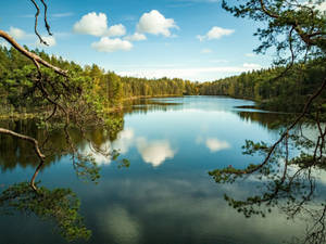 Finland Nuuksio National Park Wallpaper