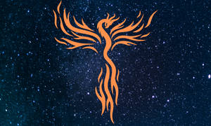 Fire Wings In Starry Night Wallpaper