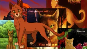 Firestar Of Warrior Cats Collage Wallpaper