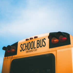 First Day School Bus Dawn Wallpaper