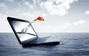 Fish Out Of Laptop Wallpaper