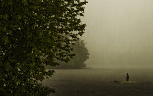 Fisherman During A Beautiful Rain Downpour Wallpaper