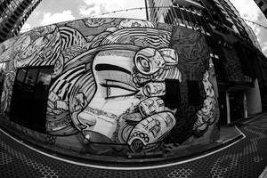 Fisheye Grayscale Graffiti Street Art Wallpaper