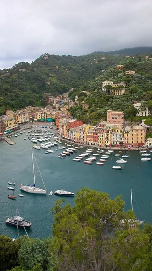 Fishing Village In Portofino Italy High Angle Shot Wallpaper