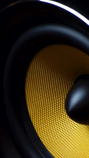 Fl Studio Gold Line Optical Cable Speaker Wallpaper