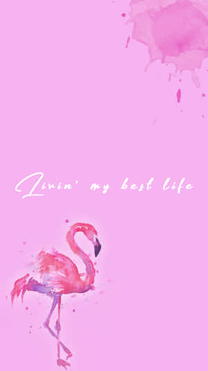 Flamingo Wallpaper - Flamingo Wallpaper Wallpaper