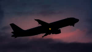 Flight Of A Lifetime! Wallpaper