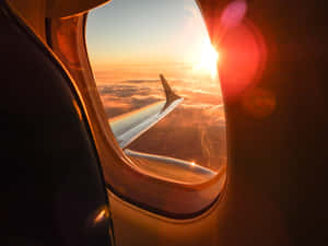 Flight With Sun Shining Wallpaper