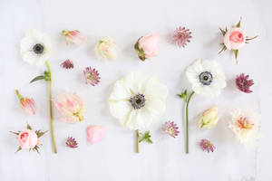 Floral Artwork Spring Aesthetic Wallpaper