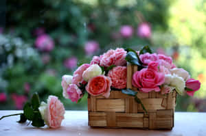 Floral Basket Bokeh Background Wallpaper