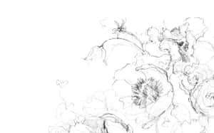 Floral Drawing Desktop Wallpaper
