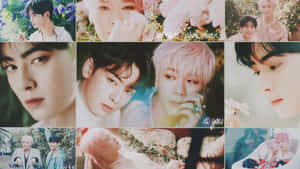 Floral_ Kpop_ Group_ Collage Wallpaper