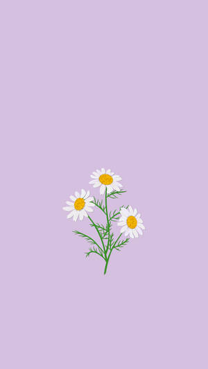 Floral Lilac Daisies Phone Wallpaper