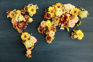 Floral World Map Artwork Wallpaper