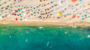 Florida Beach Aerial Wallpaper