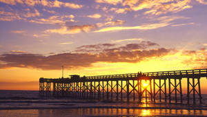 Florida Beach Wooden Pier Wallpaper