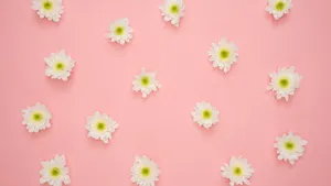 Flourishing Minimalism: Modern Computer Laptop Surrounded By An Abundance Of Colorful Flowers Wallpaper