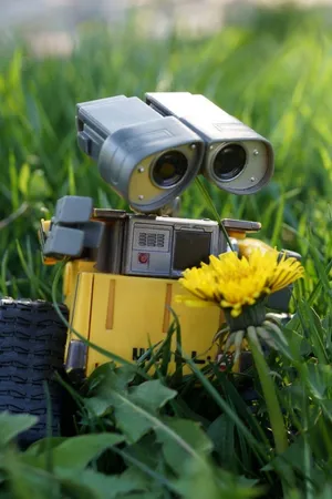 Flower Holding Wall E Iphone Wallpaper