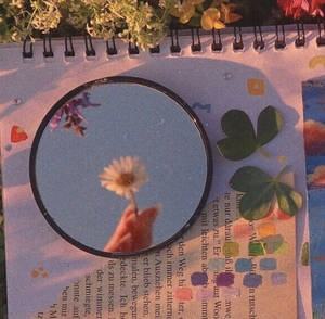 Flower Mirror Cottagecore Desktop Wallpaper