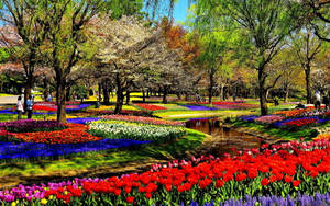 Flower Park Field Wallpaper