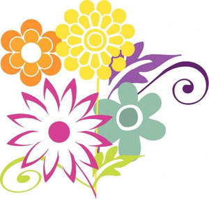 Flower Petals Clipart Wallpaper