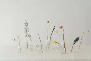 Flowers In Clear Glass Vase Facebook Cover Wallpaper