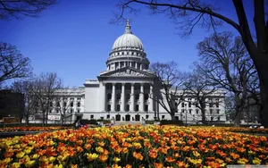 Flowers In Front Capitol Hill Wallpaper