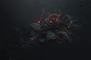 Flowers On 4k Fire Wallpaper