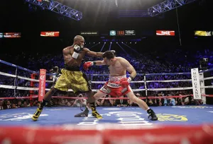 Floyd Mayweather Middle Of A Fight Wallpaper