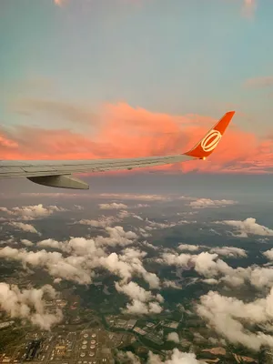 Fly High With A Pink Plane Wallpaper