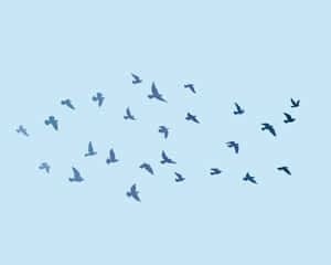 Flying Bird Black Silhouettes Wallpaper