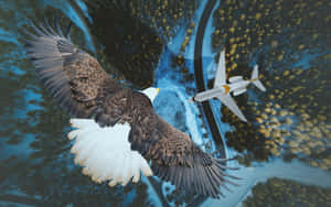 Flying Eagle Looking At An Airplane Wallpaper