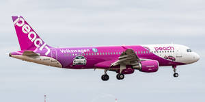 Flying Plane Of Peach Aviation Wallpaper