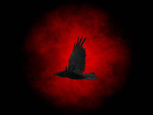Flying Raven In Darkness Wallpaper