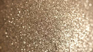Focused Sparkly Silver Photo Wallpaper